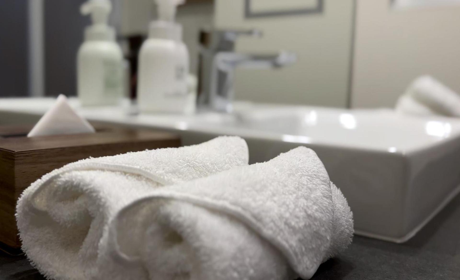 Prostyle Ryokan Tokyo Asakusa מראה חיצוני תמונה